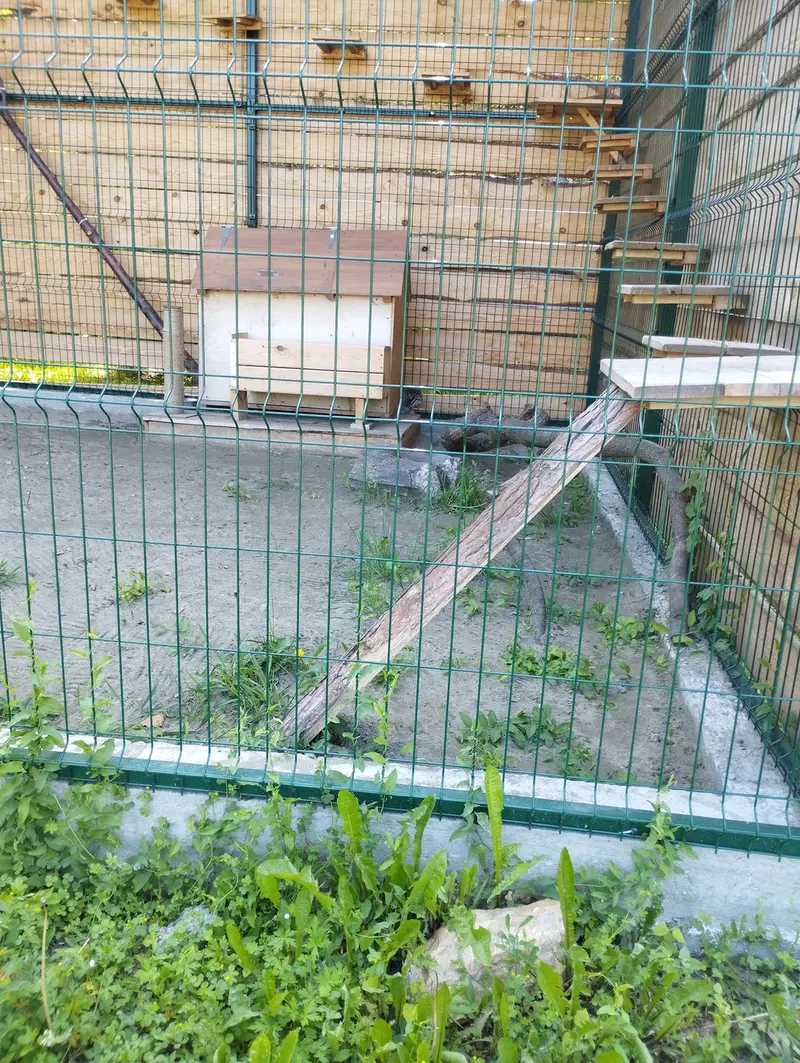 バルナウル動物園「レースナヤ・スカースカ」のチップの写真