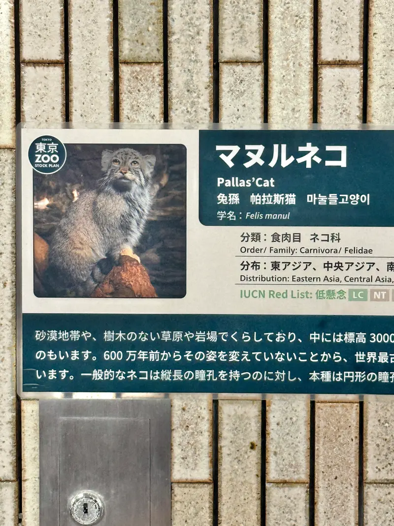 恩賜上野動物園のプリームラの写真