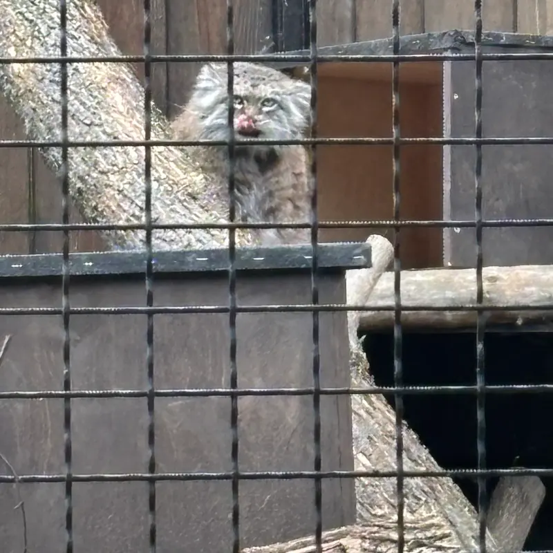 ワルシャワ動物園のジェシーの写真