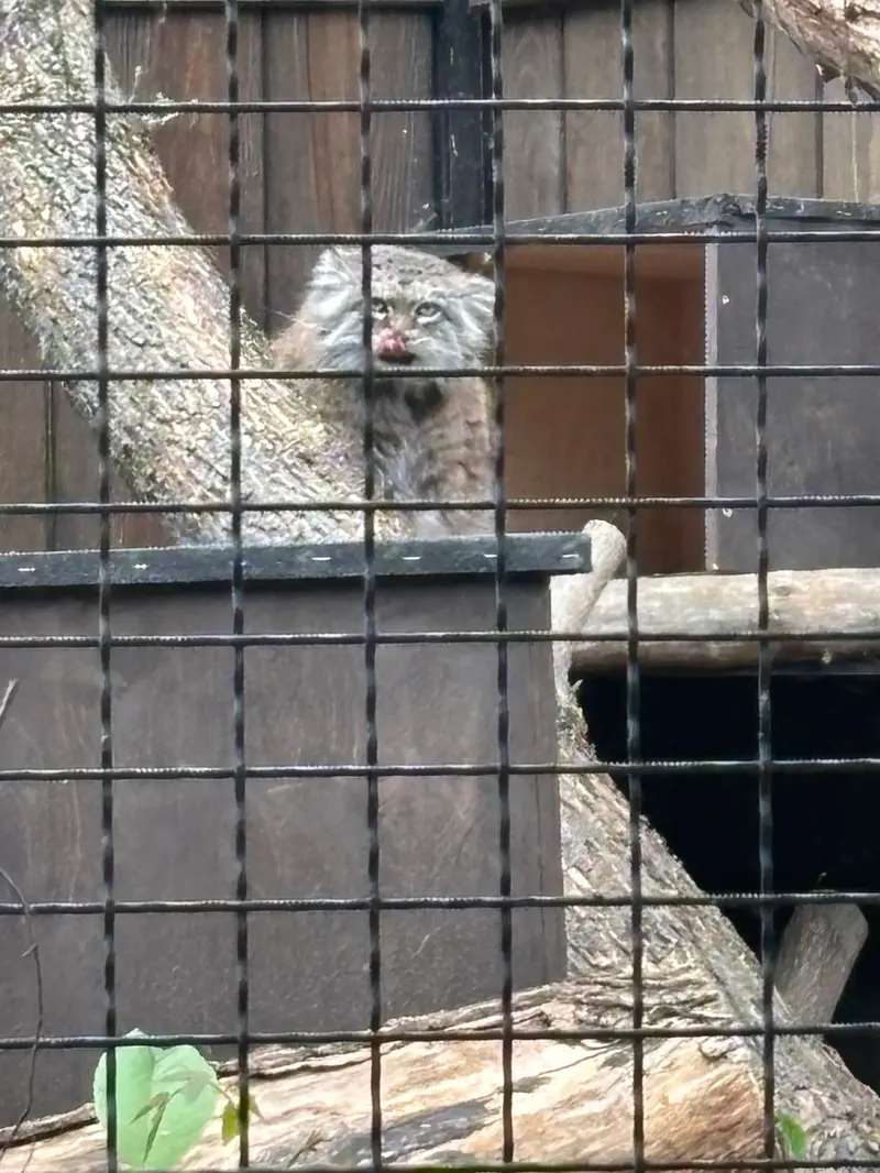 ワルシャワ動物園のジェシーの写真
