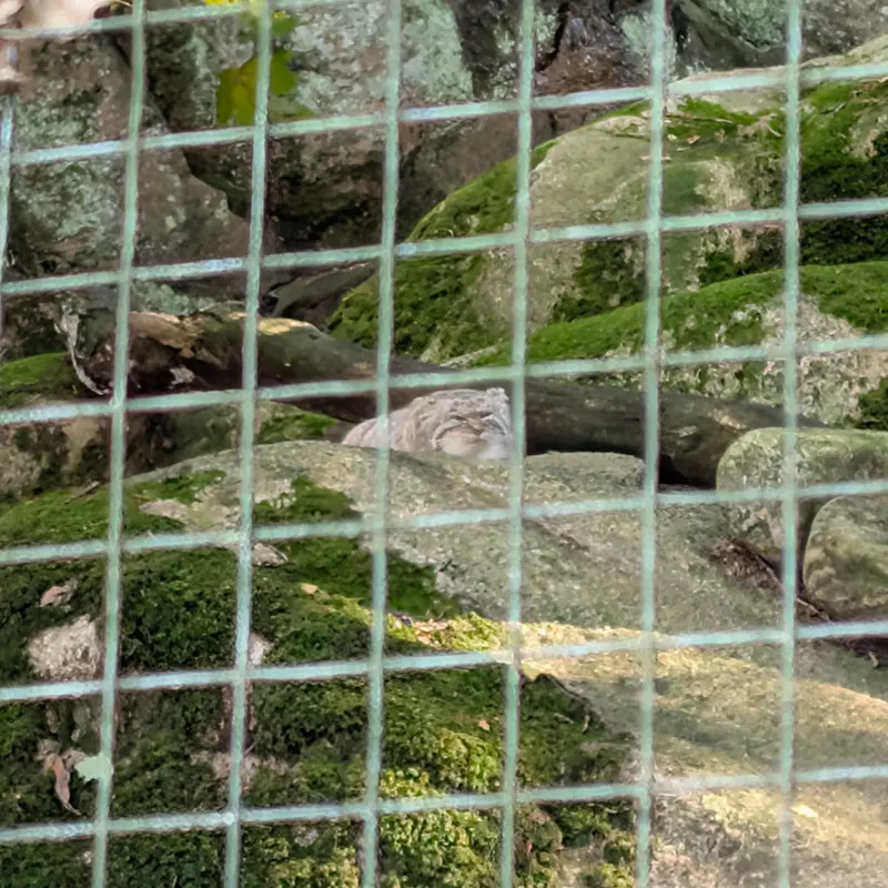 ノルデンス・アークのトゥールーズの写真