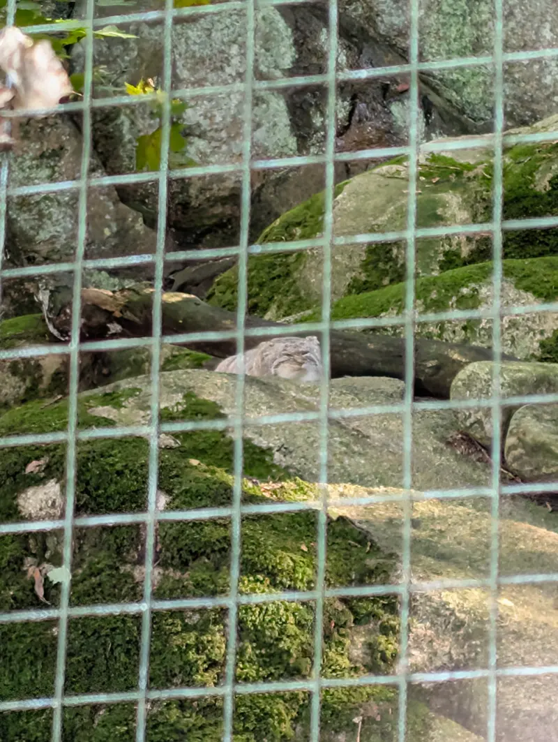 ノルデンス・アークのトゥールーズの写真