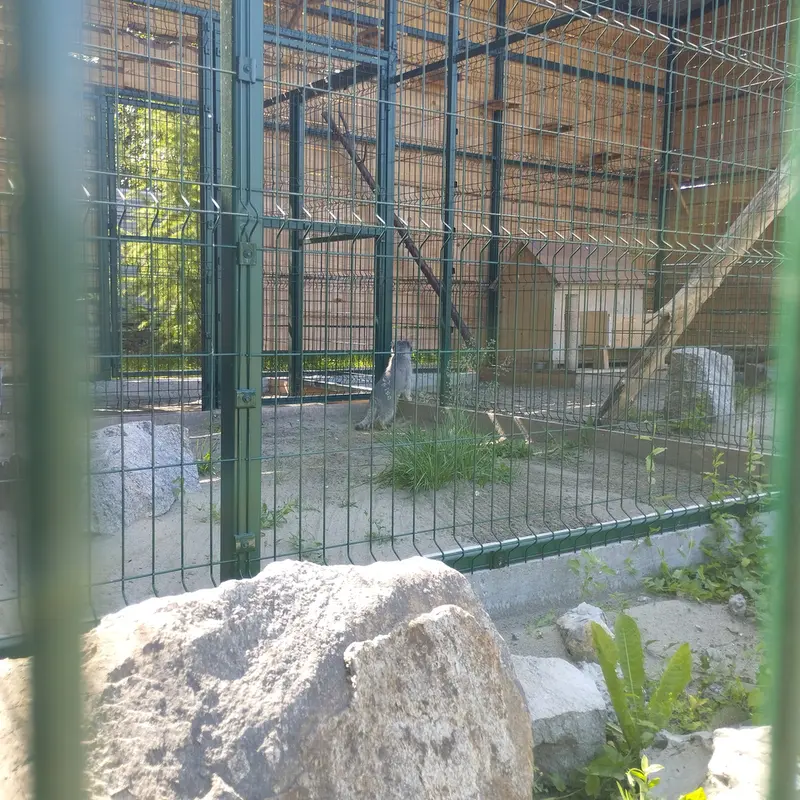 バルナウル動物園「レースナヤ・スカースカ」のペペとチップの写真
