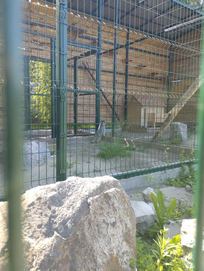 バルナウル動物園「レースナヤ・スカースカ」のペペとチップの写真
