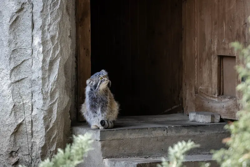モスクワ動物園のティモフェイの写真