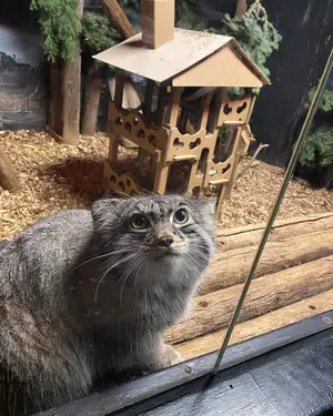 スペリオル湖動物園のパブの写真