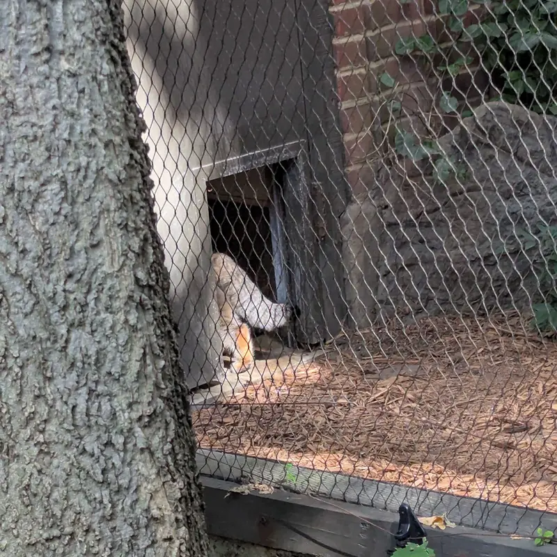 プロスペクト・パーク動物園のサルナイの写真