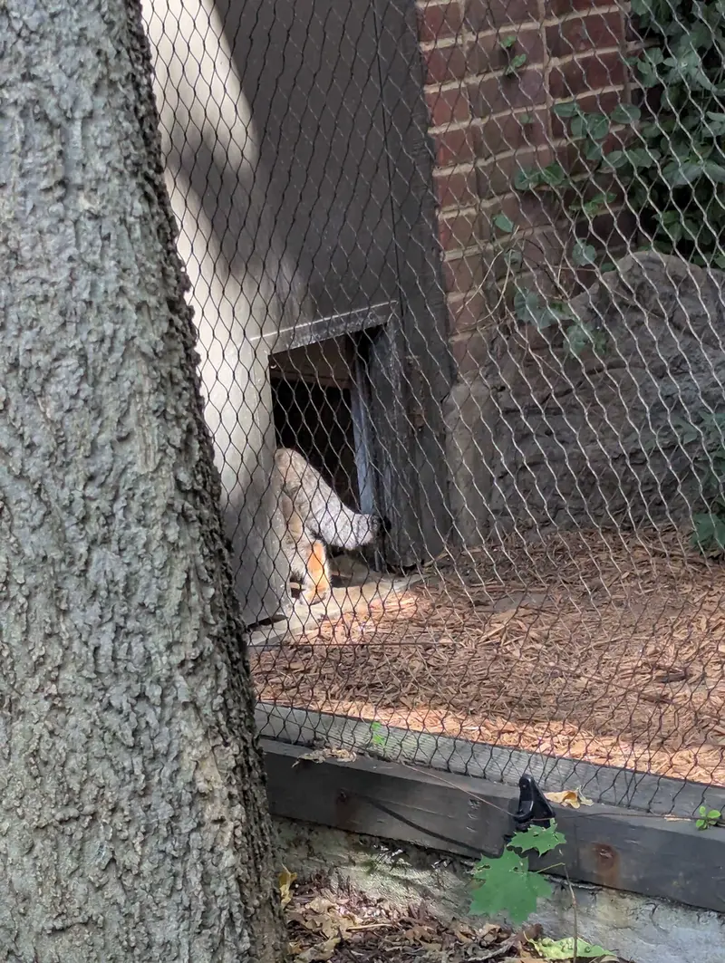 プロスペクト・パーク動物園のサルナイの写真