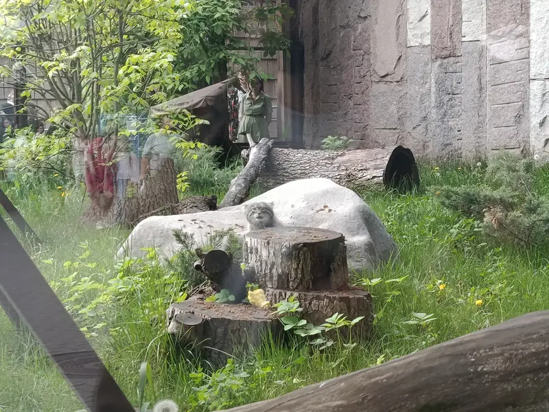 モスクワ動物園のティモフェイの写真