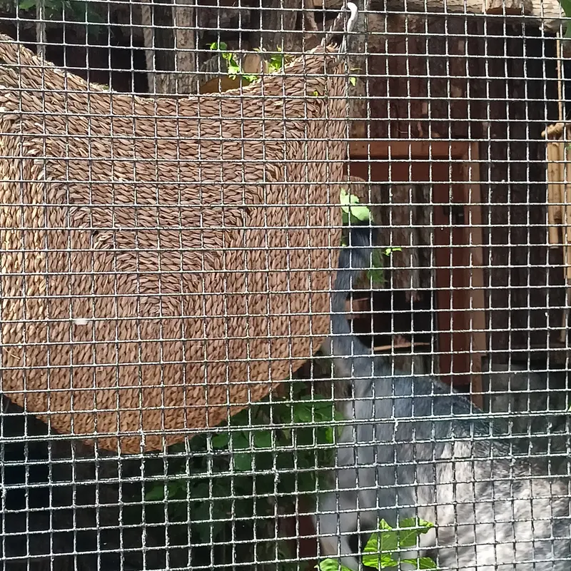レニングラード動物園のシューの写真