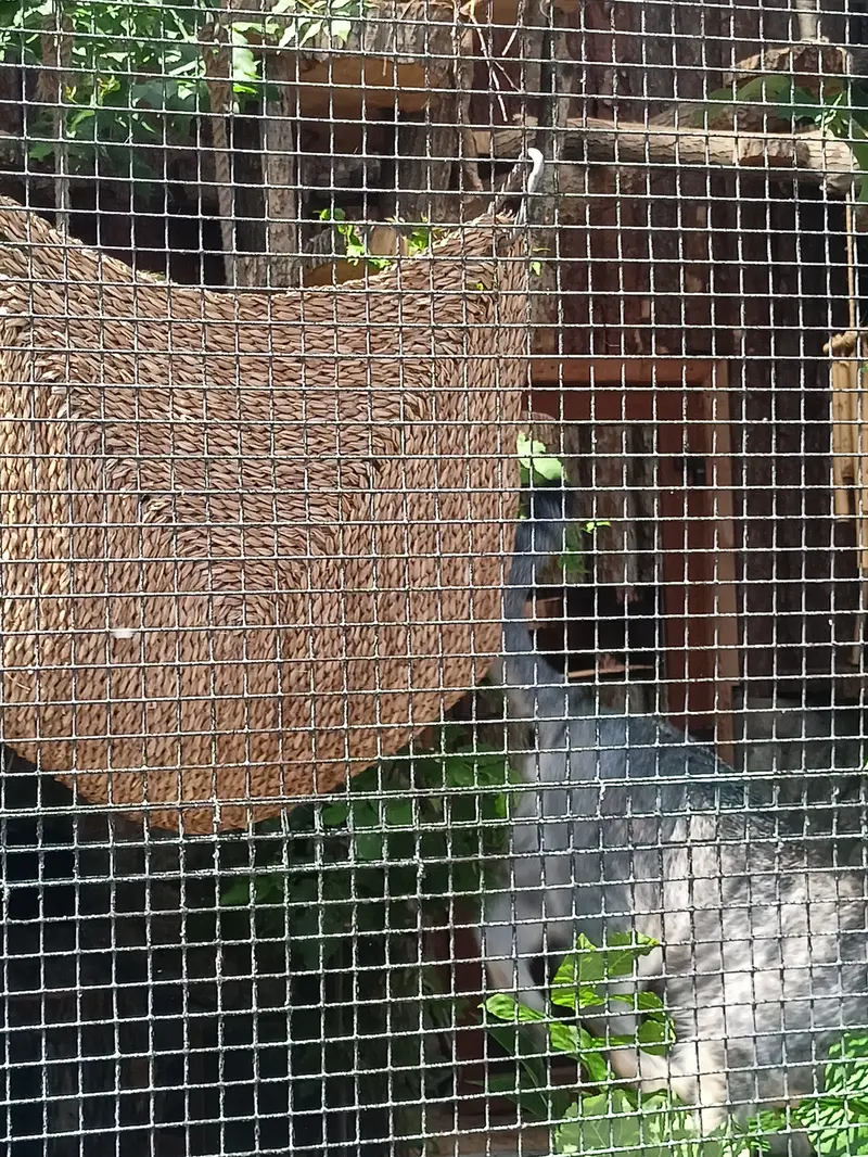 レニングラード動物園のシューの写真