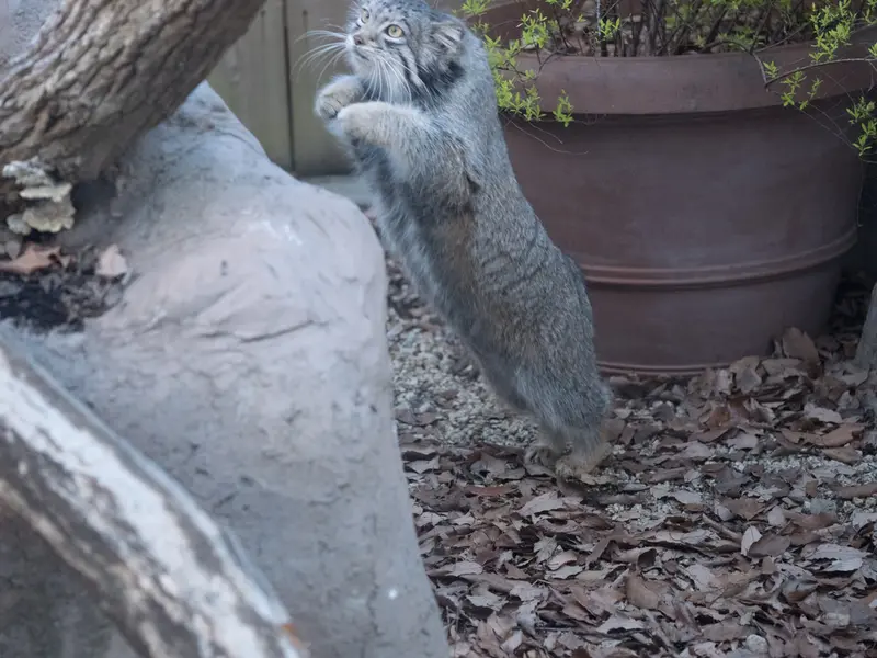 埼玉県こども動物自然公園のオトの写真