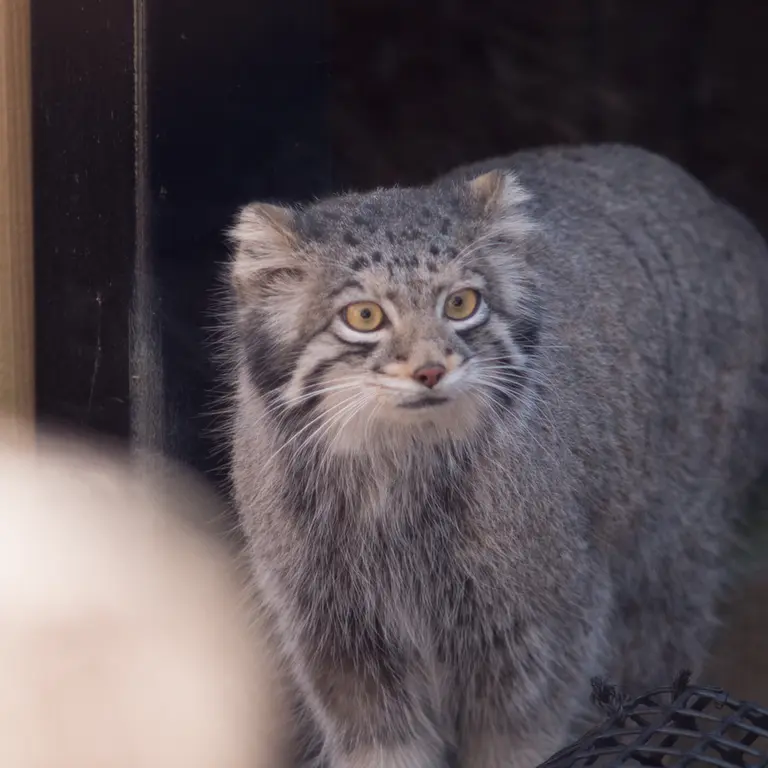 埼玉県こども動物自然公園のオトの写真