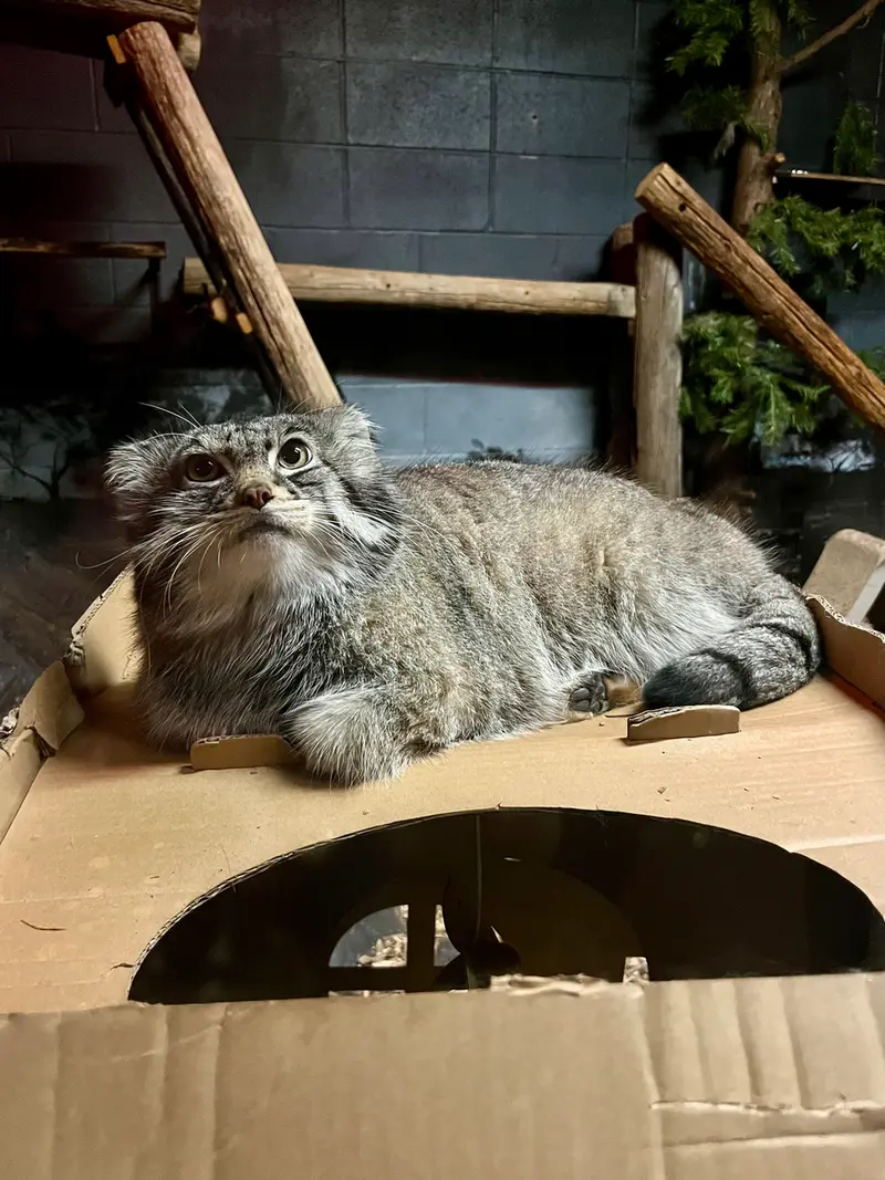 スペリオル湖動物園のパブの写真