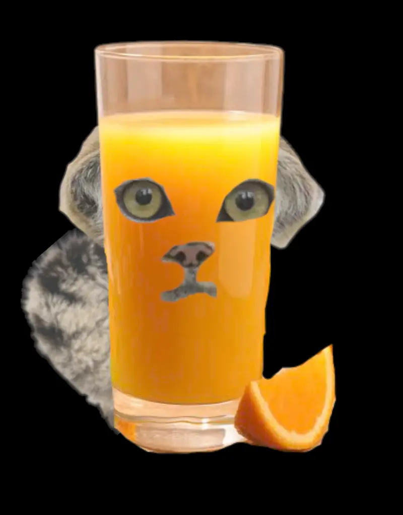 マヌルネコの写真