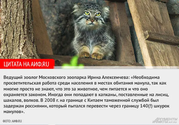 モスクワ動物園のヴァルヴァラの写真