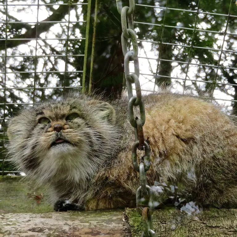 バナム動物園のバックの写真
