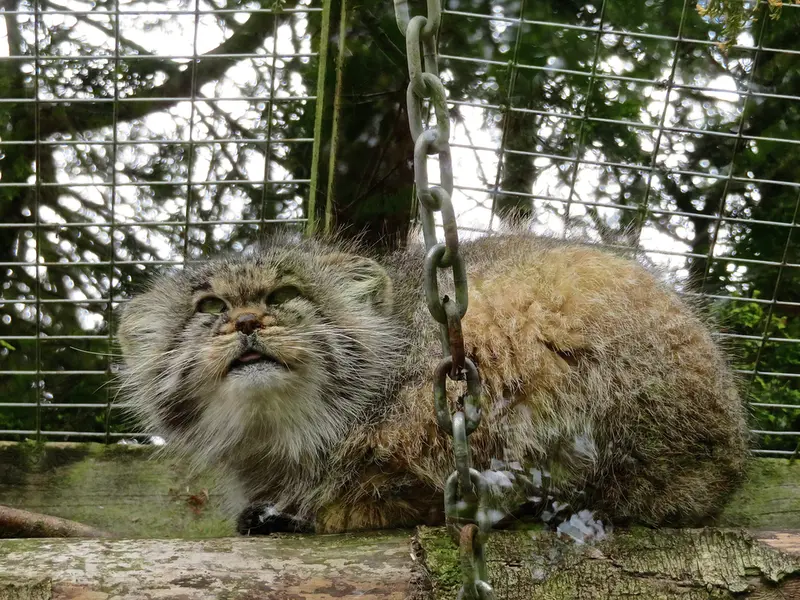 バナム動物園のバックの写真