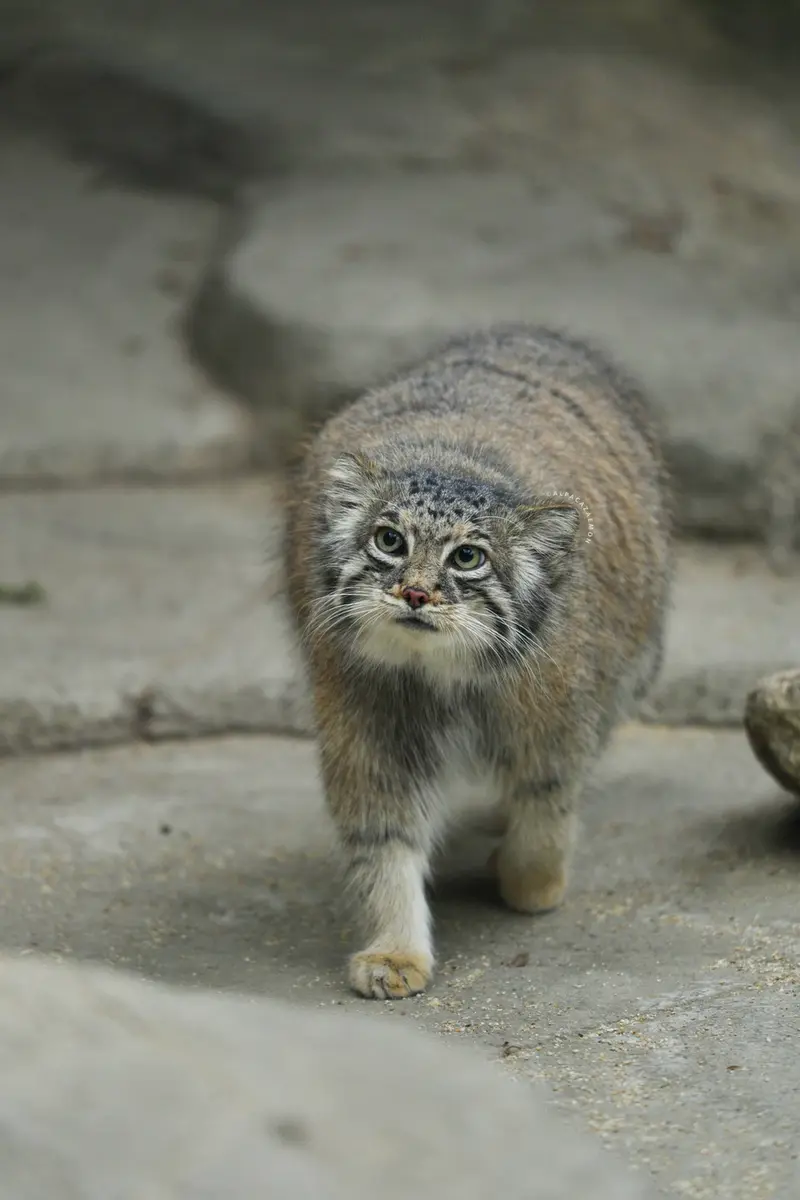 😻速報😻
