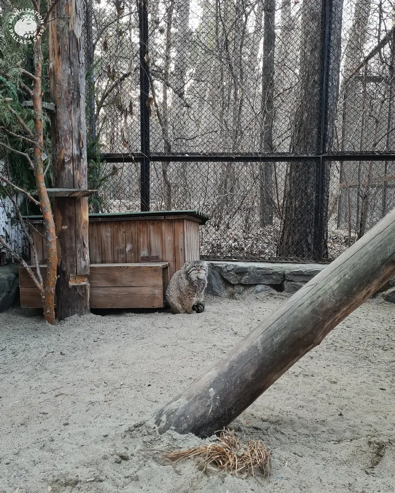 ノヴォシビルスク動物園のゼレノゴルスクの写真