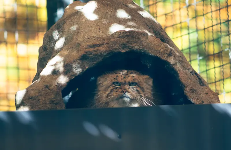 リトアニア動物園のメリッサの写真