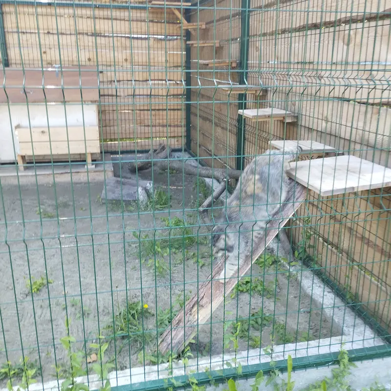 バルナウル動物園「レースナヤ・スカースカ」のチップの写真