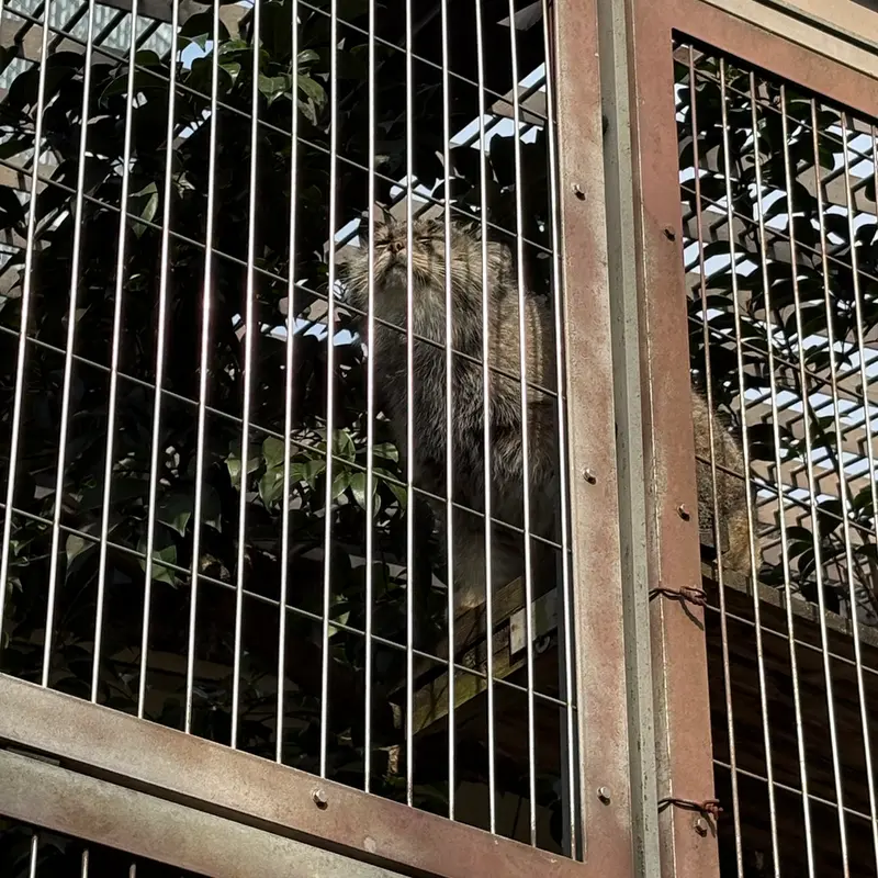 東山動植物園のエルの写真