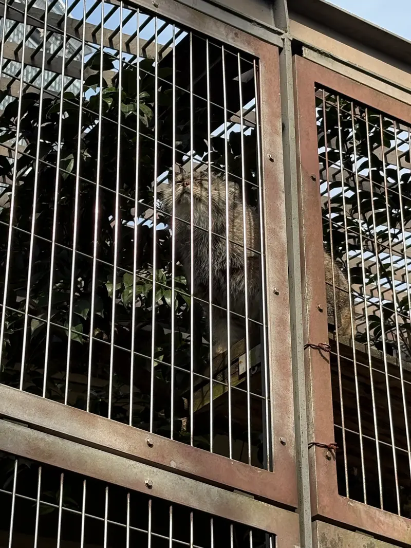 東山動植物園のエルの写真