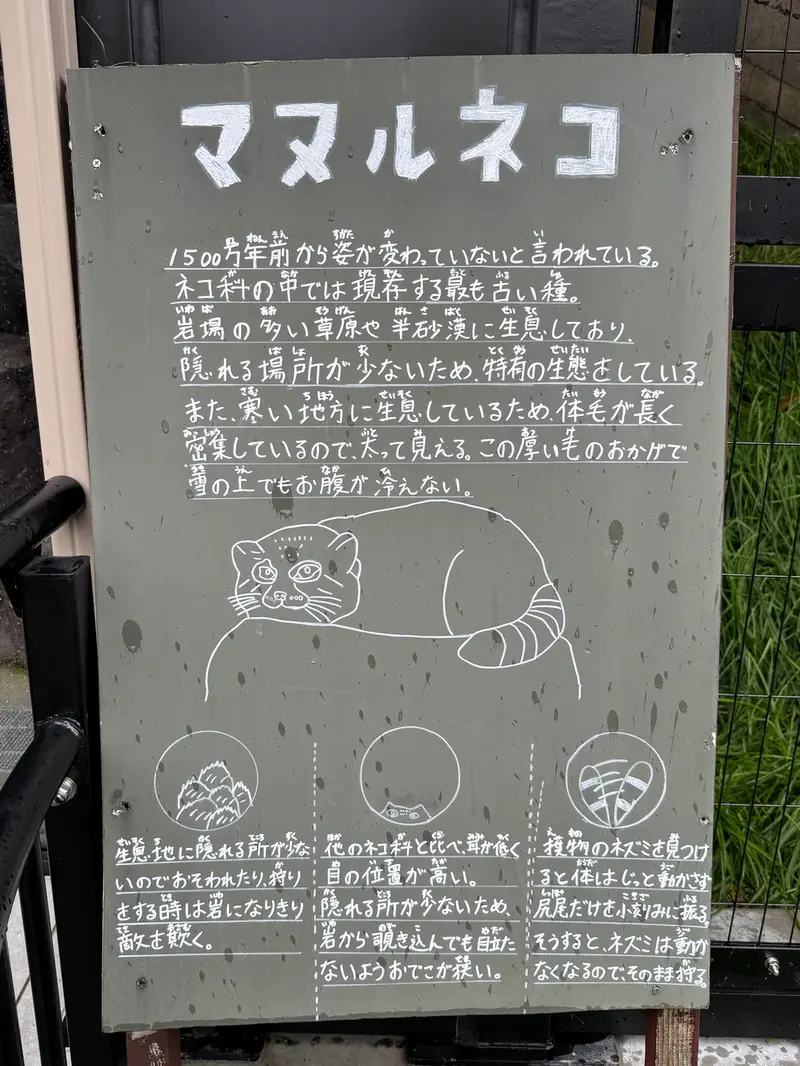 旭山動物園のグルーシャとヒデの写真