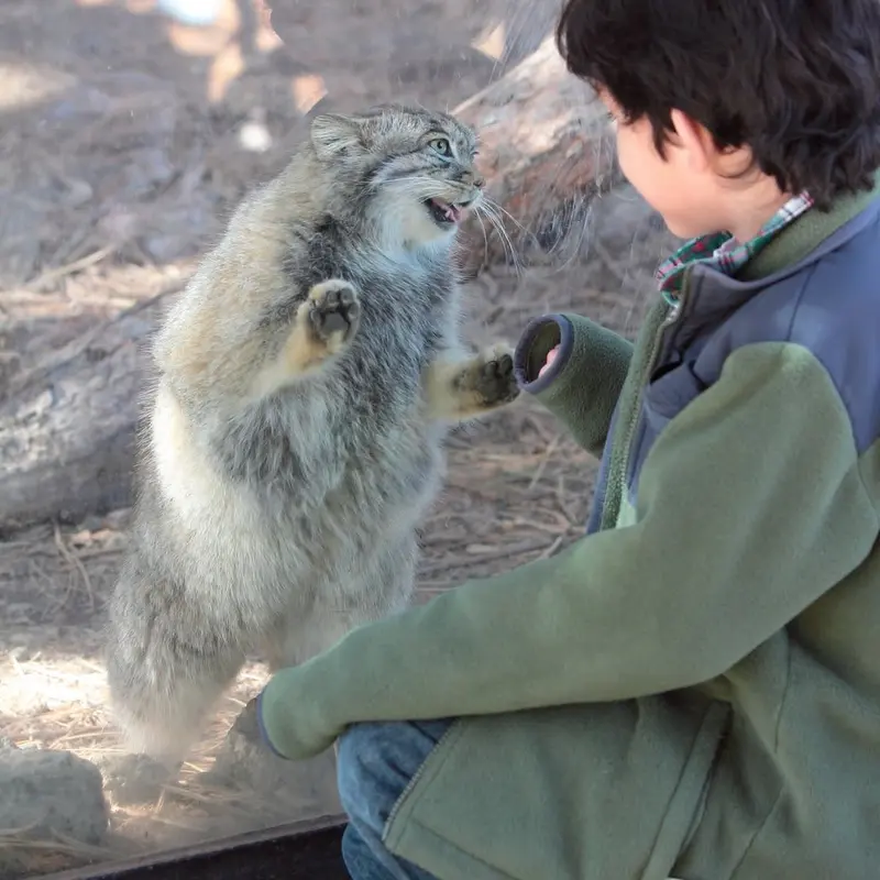 シャイアン・マウンテン動物園のナディアの写真