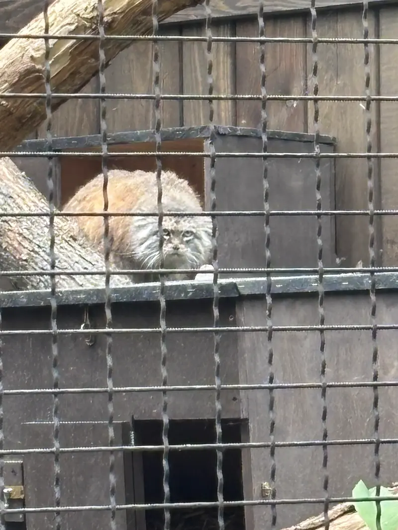 ワルシャワ動物園のジェシーの写真