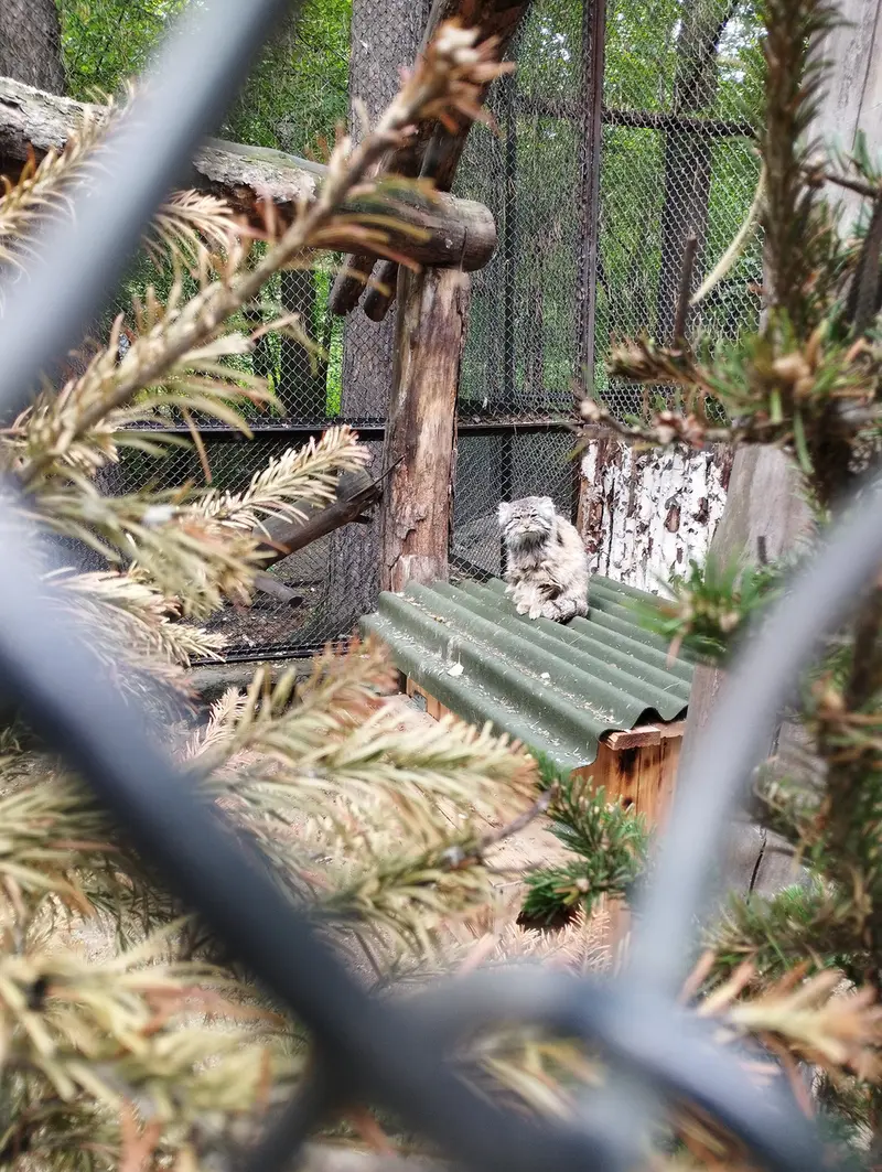 ノヴォシビルスク動物園のゼレノゴルスクの写真