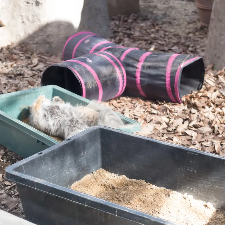 埼玉県こども動物自然公園のオトの写真