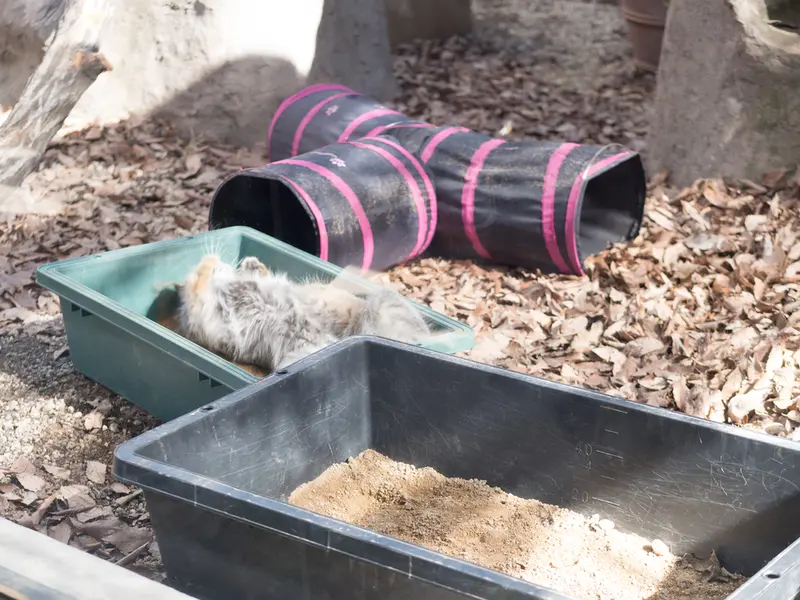 埼玉県こども動物自然公園のオトの写真