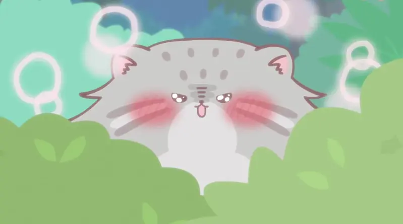 マヌルネコの写真