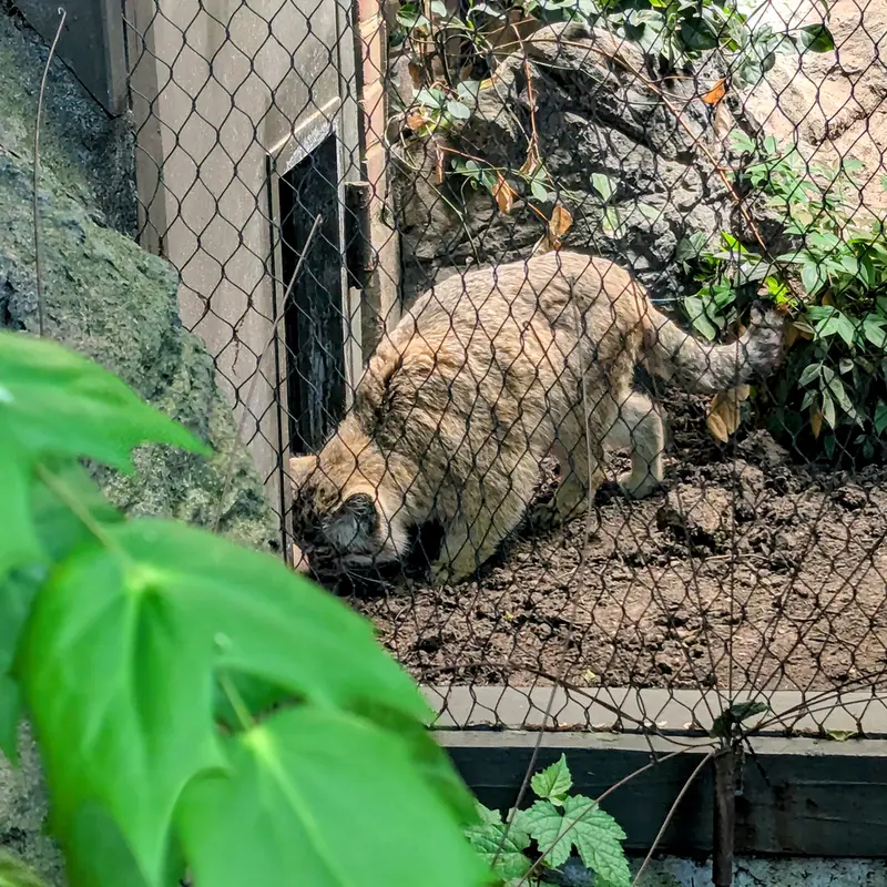 プロスペクト・パーク動物園のサルナイの写真