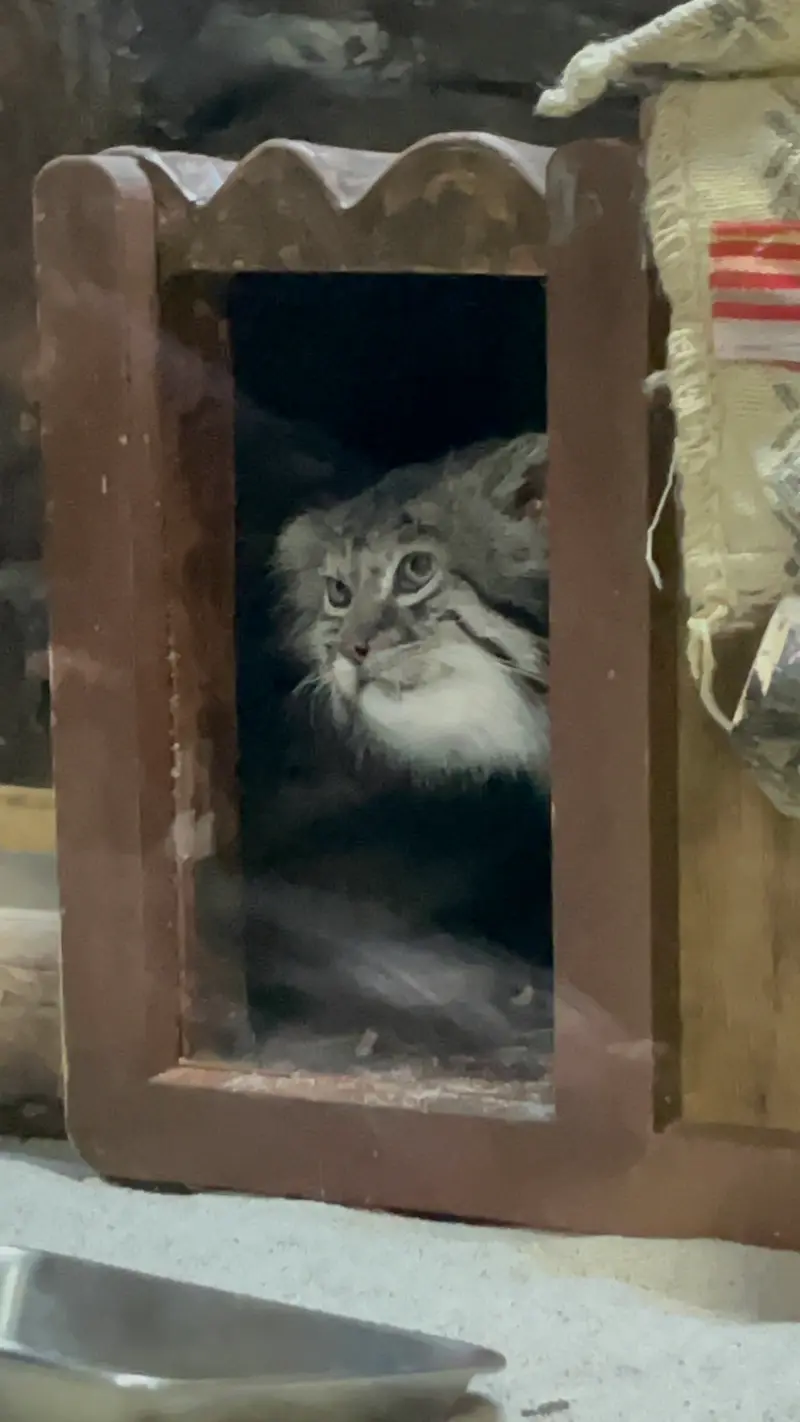 恩賜上野動物園のクリョンの写真