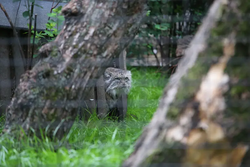 ワルシャワ動物園のジェシーの写真