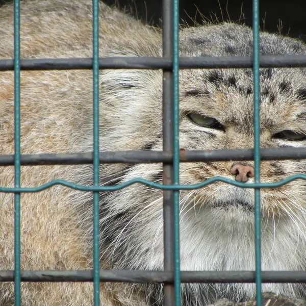 マクデブルク動物園のジョナサンの写真