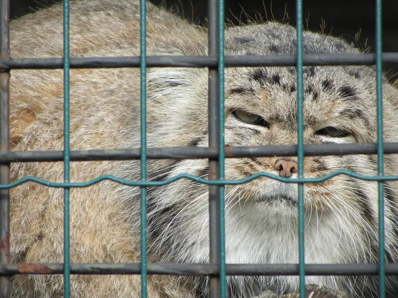 マクデブルク動物園のジョナサンの写真