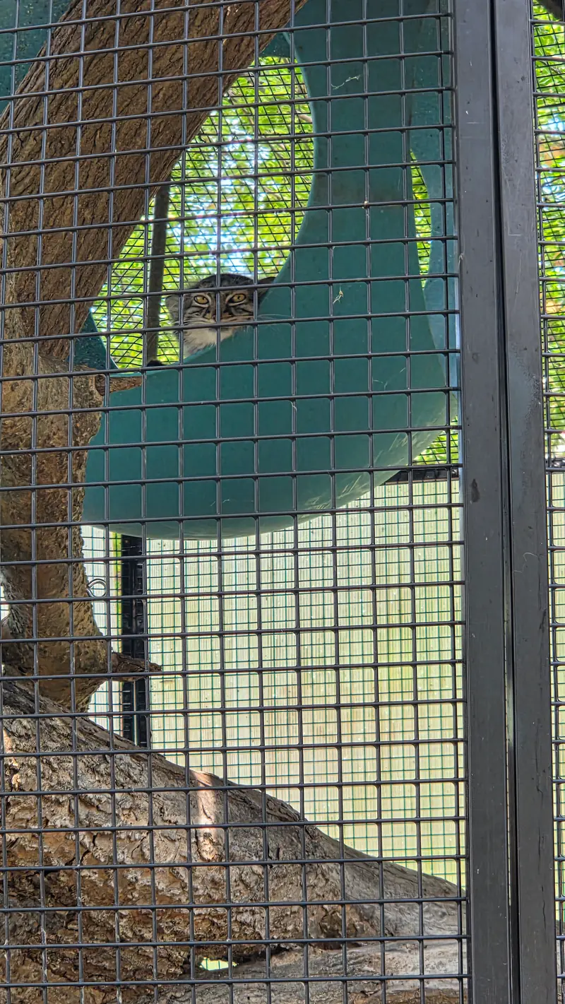 ニアビ動物園のイーヴィーの写真