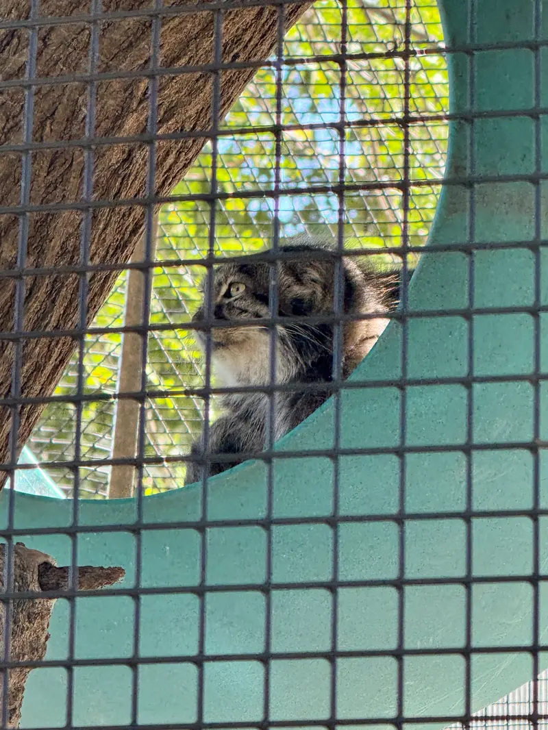 ニアビ動物園のイーヴィーの写真