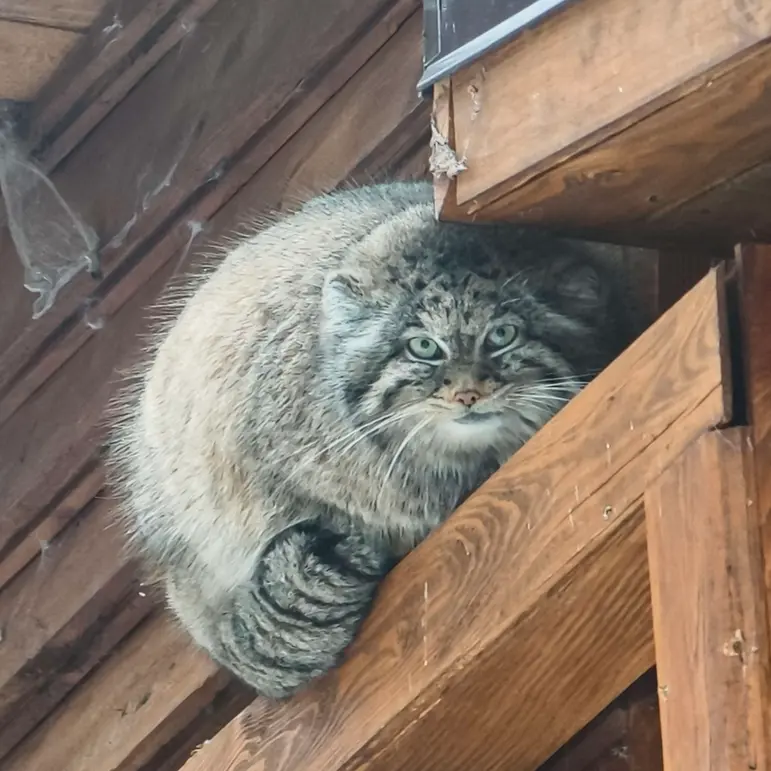 グダニスク動物園のウラの写真