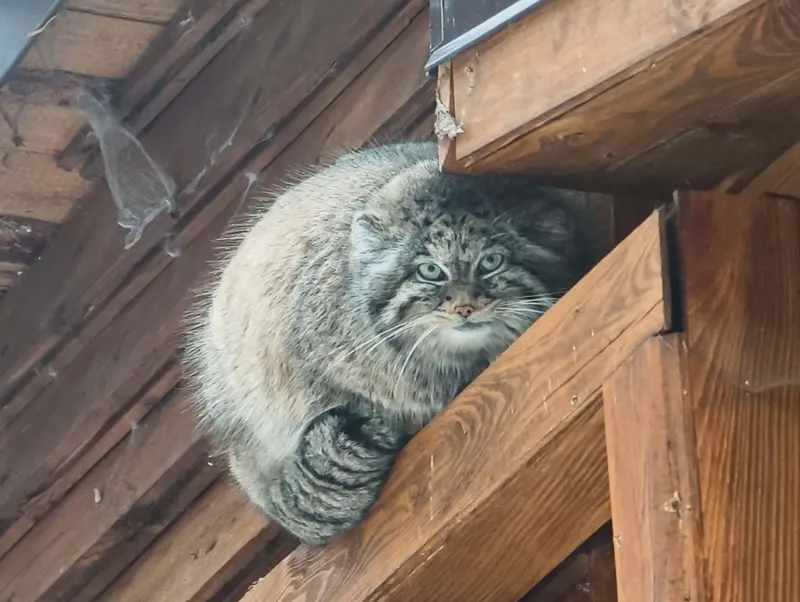 グダニスク動物園のウラの写真