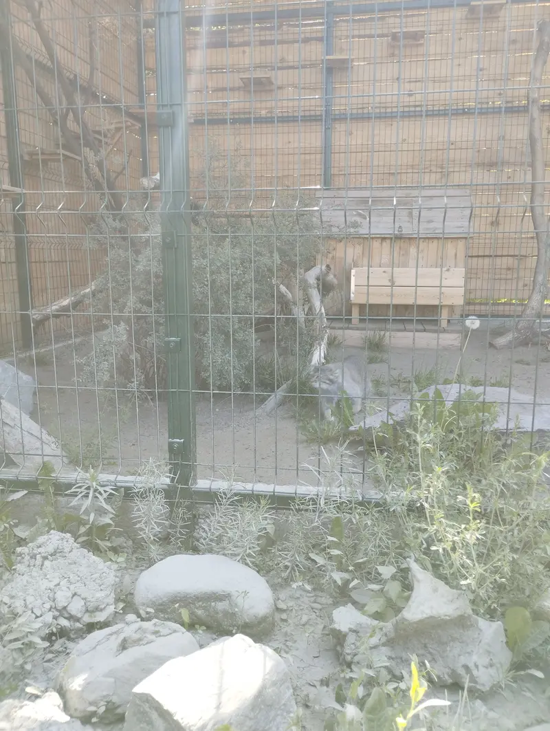 バルナウル動物園「レースナヤ・スカースカ」のペペの写真