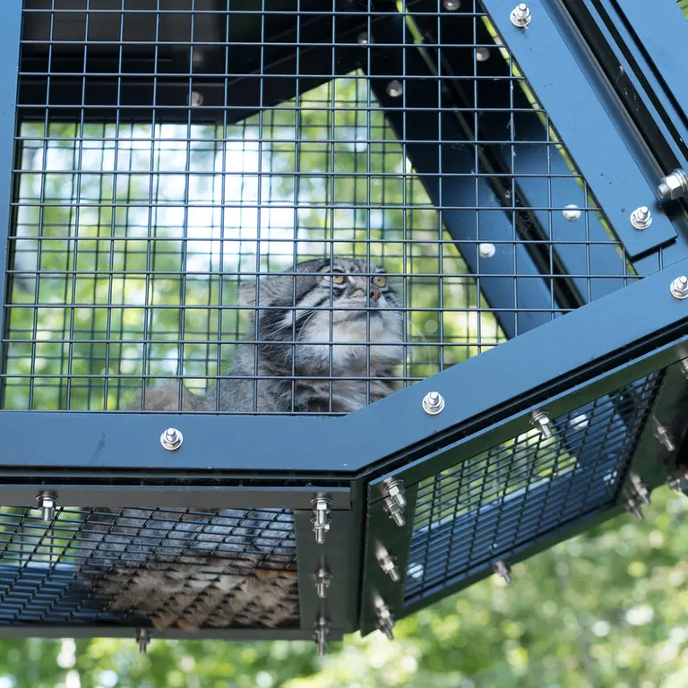 旭山動物園のグルーシャの写真