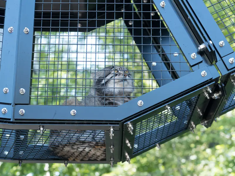 旭山動物園のグルーシャの写真