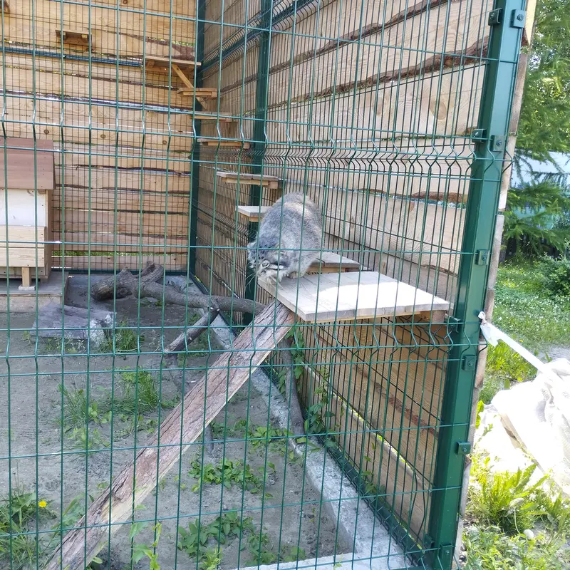 バルナウル動物園「レースナヤ・スカースカ」のチップの写真