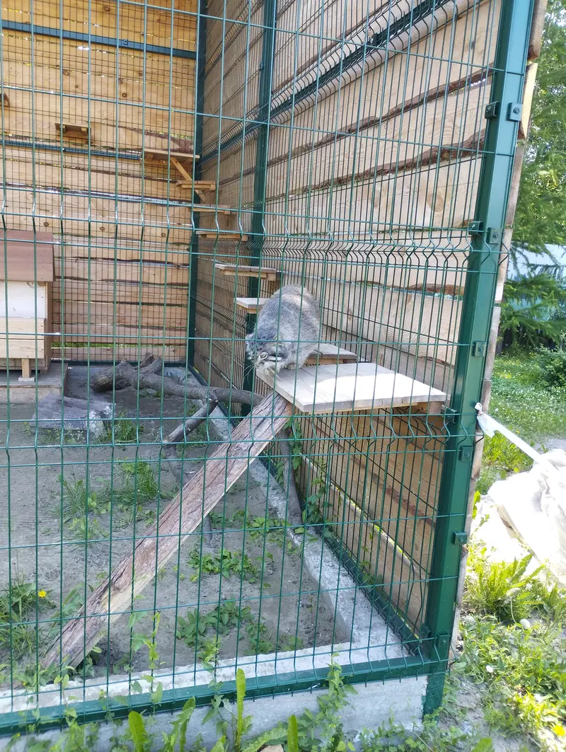バルナウル動物園「レースナヤ・スカースカ」のチップの写真