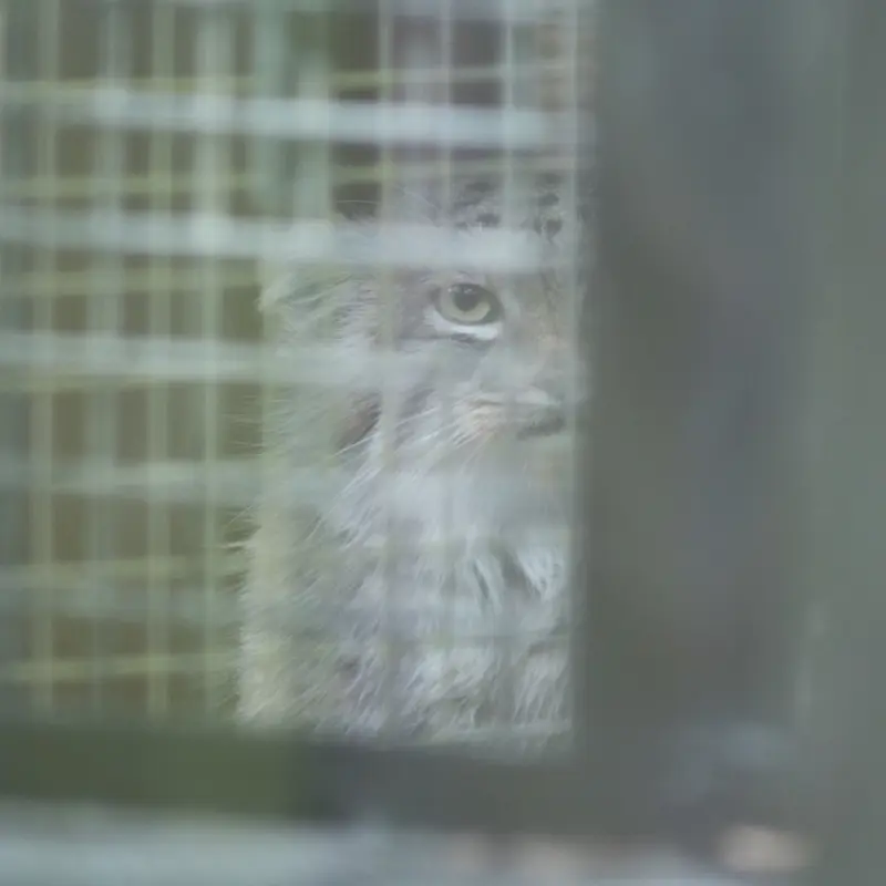 埼玉県こども動物自然公園のオリーヴァの写真